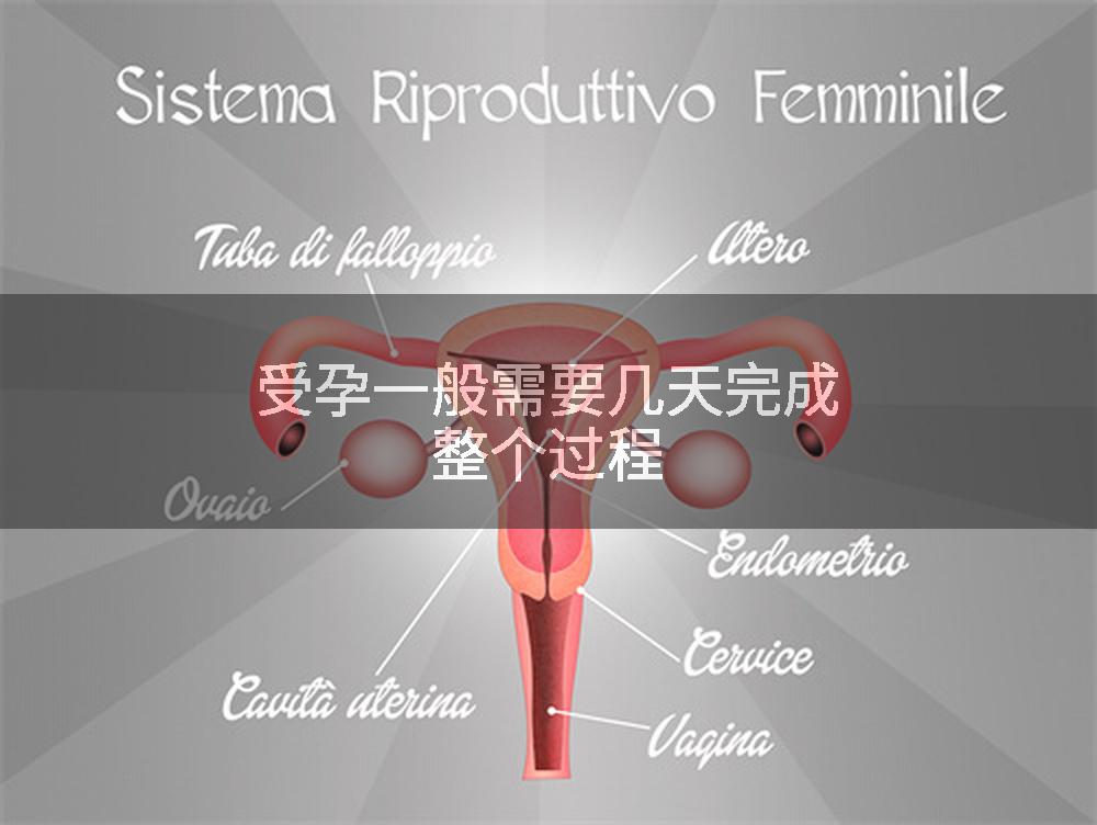 受孕一般需要几天完成整个过程