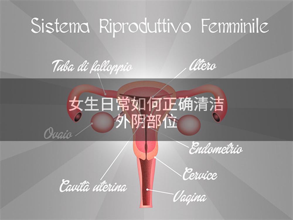 女生日常如何正确清洁外阴部位