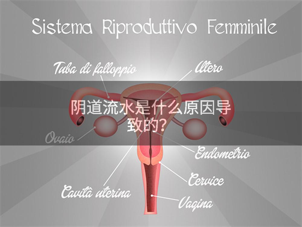 阴道流水是什么原因导致的？