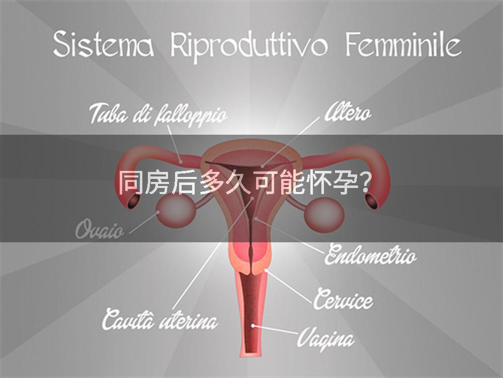 同房后多久可能怀孕？