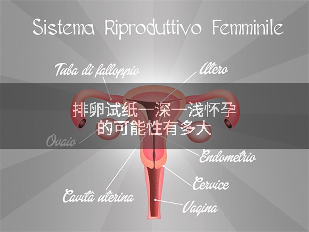 排卵试纸一深一浅怀孕的可能性有多大