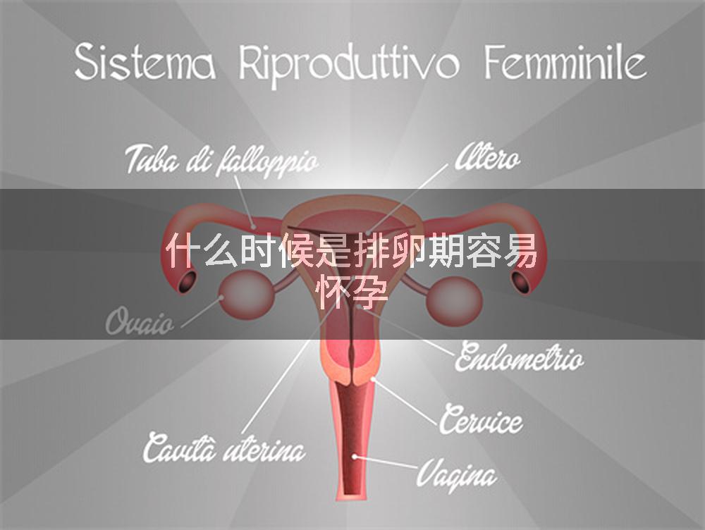 什么时候是排卵期容易怀孕