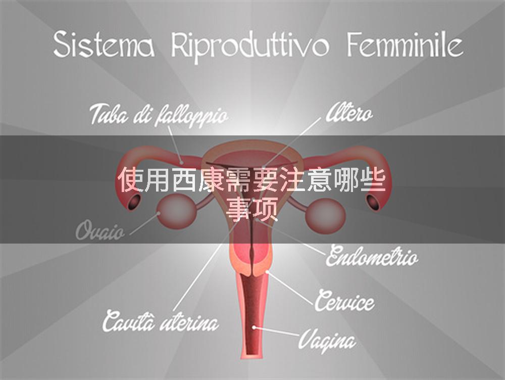 使用西康需要注意哪些事项