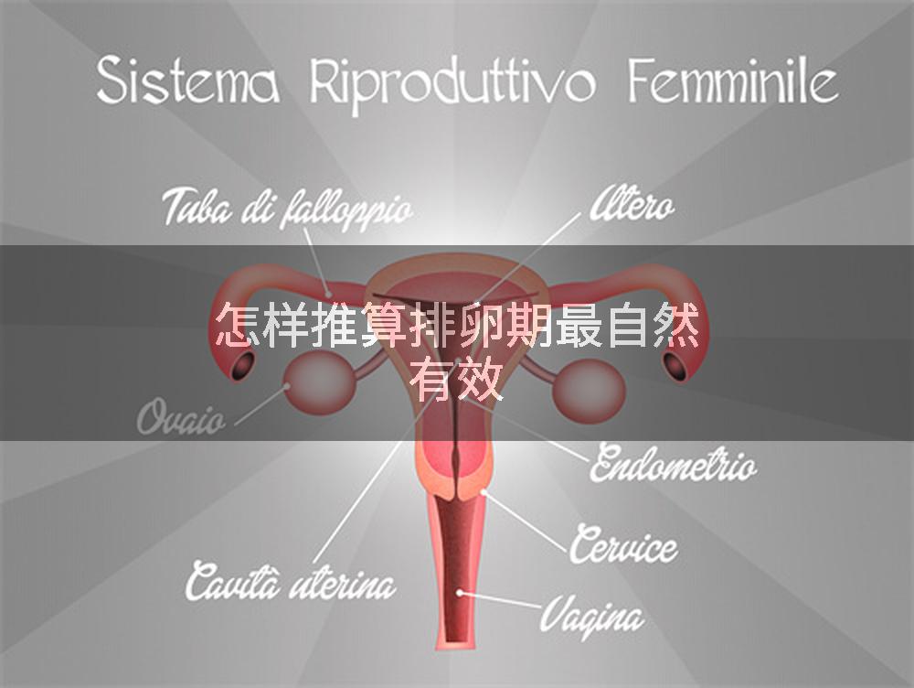 怎样推算排卵期最自然有效