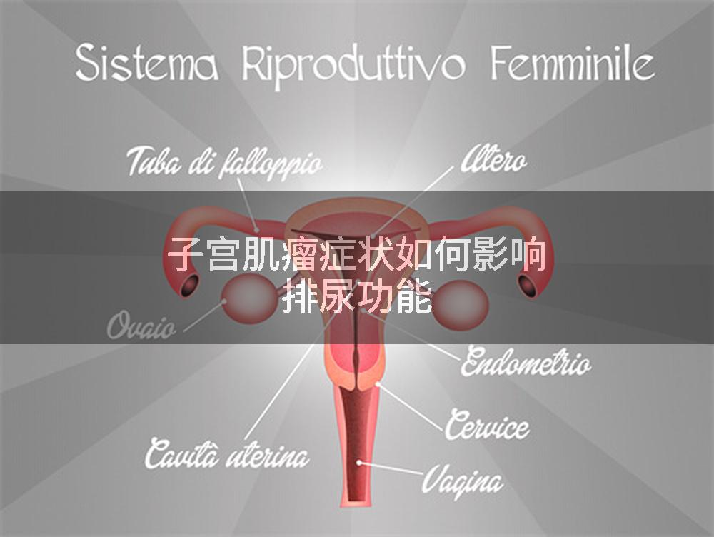 子宫肌瘤症状如何影响排尿功能