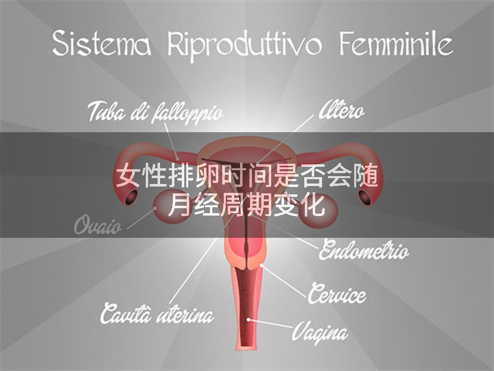 女性排卵时间是否会随月经周期变化