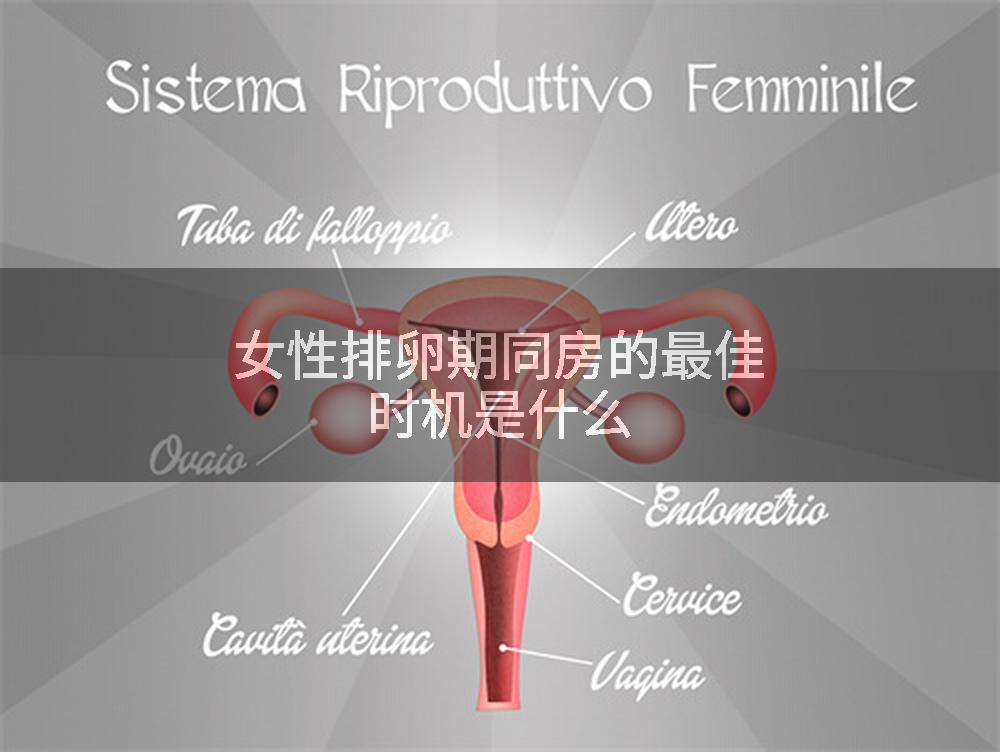 女性排卵期同房的最佳时机是什么