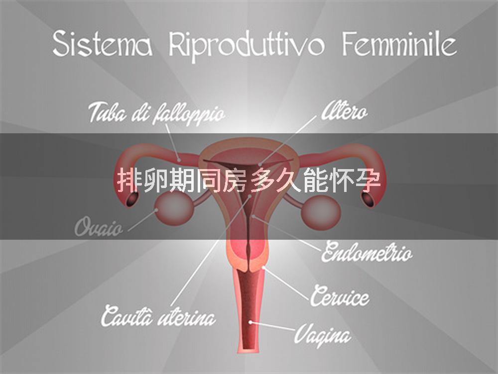 排卵期同房多久能怀孕
