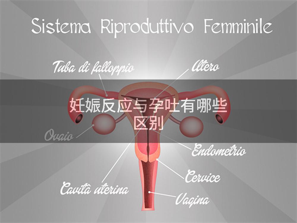 妊娠反应与孕吐有哪些区别