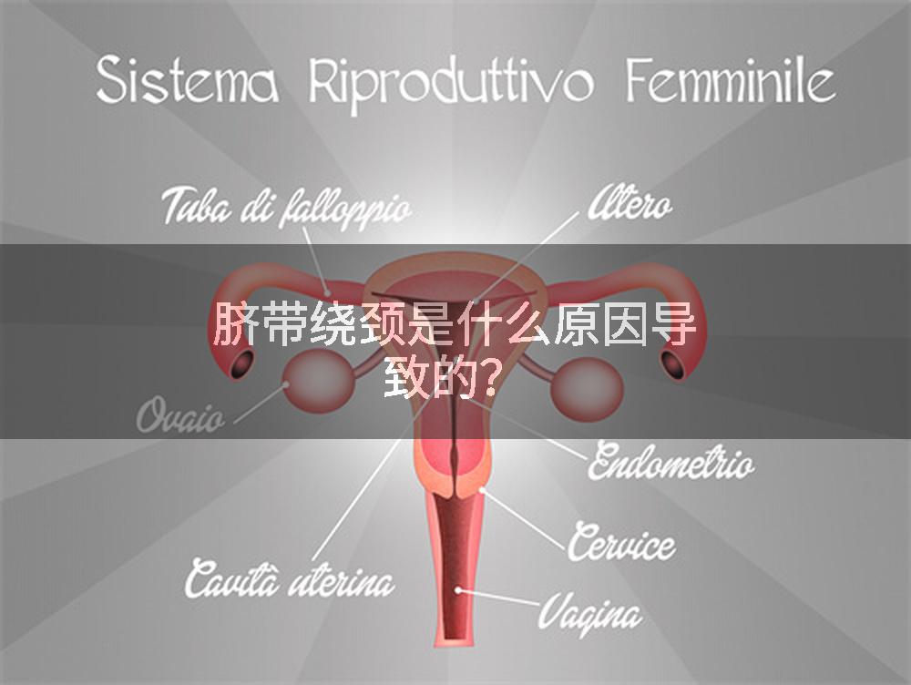 脐带绕颈是什么原因导致的?