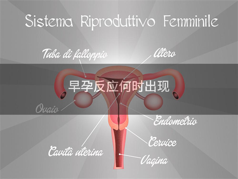 早孕反应何时出现