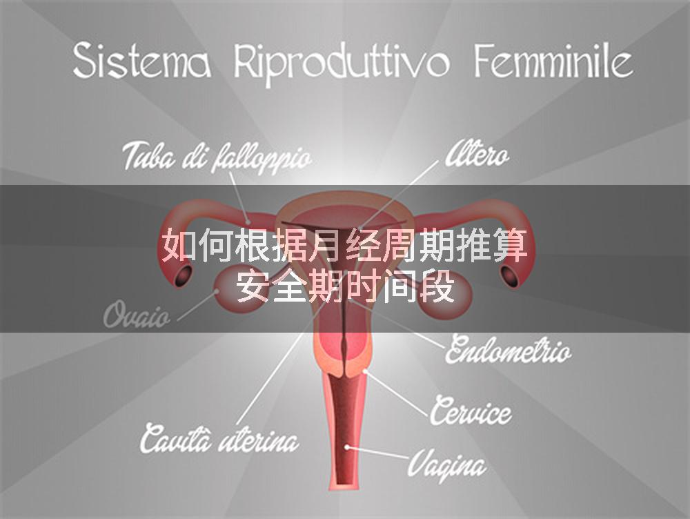 如何根据月经周期推算安全期时间段
