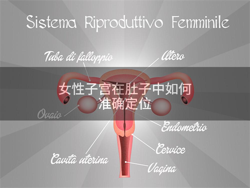 女性子宫在肚子中如何准确定位