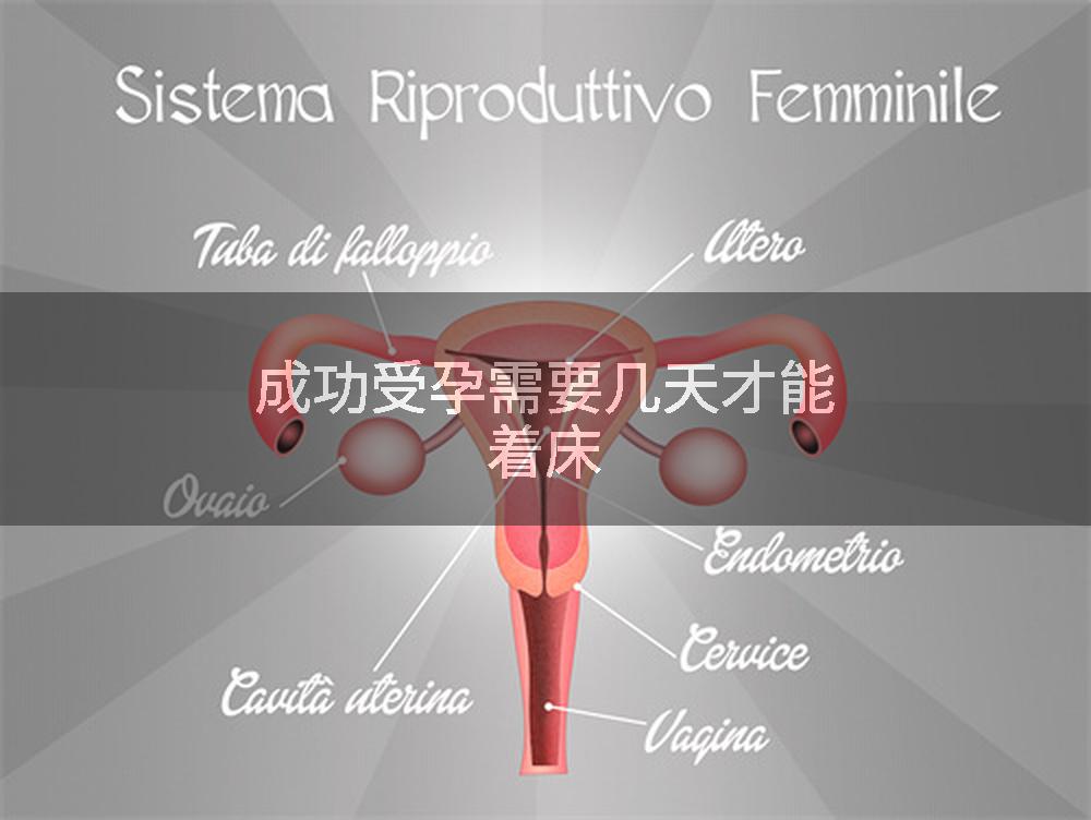 成功受孕需要几天才能着床