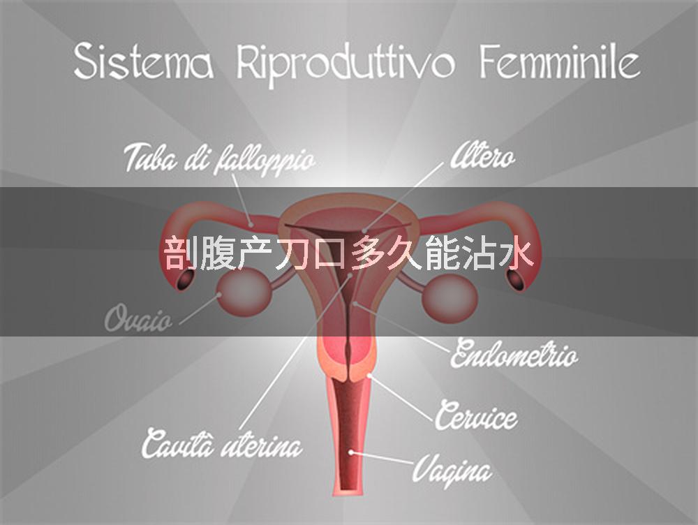 剖腹产刀口多久能沾水