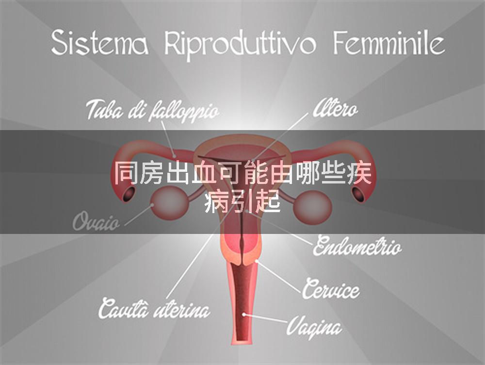 同房出血可能由哪些疾病引起