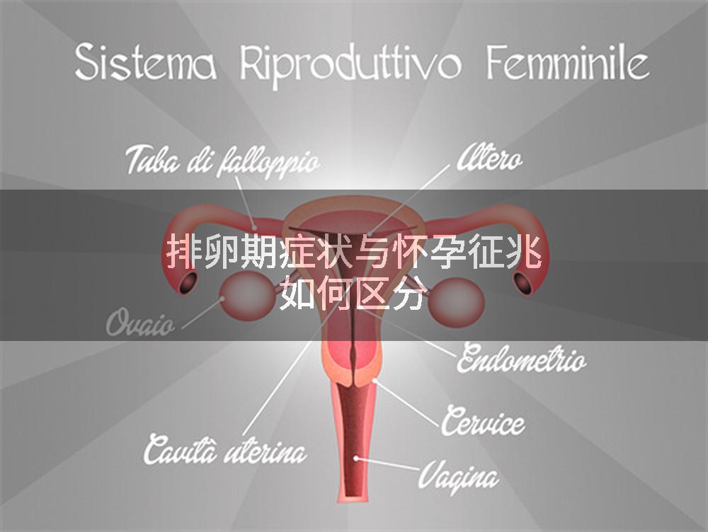 排卵期症状与怀孕征兆如何区分