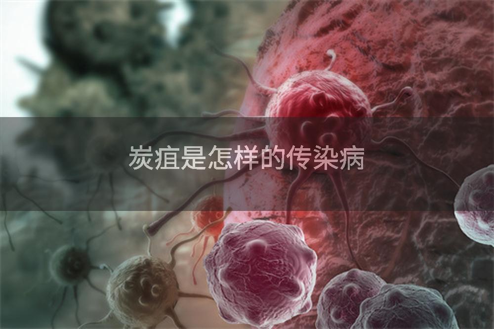 炭疽是怎样的传染病