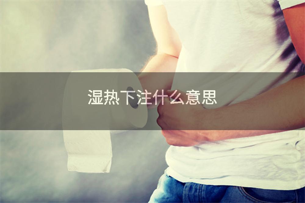 湿热下注什么意思