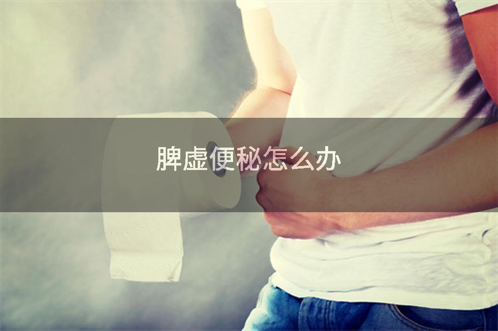 脾虚便秘怎么办