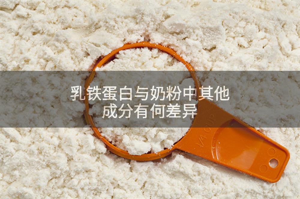 乳铁蛋白与奶粉中其他成分有何差异