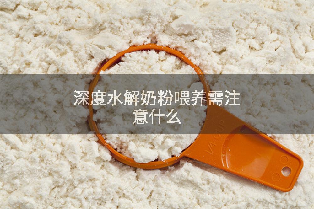 深度水解奶粉喂养需注意什么