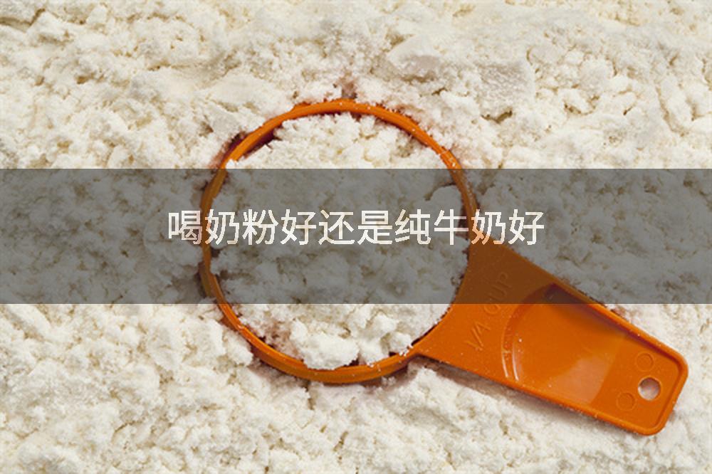 喝奶粉好还是纯牛奶好