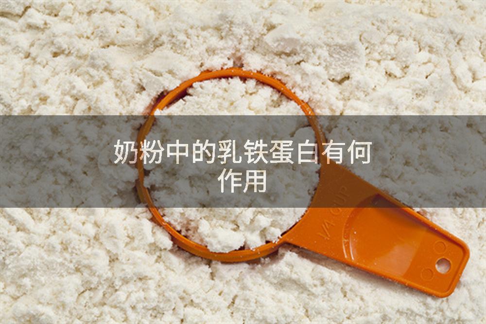 奶粉中的乳铁蛋白有何作用