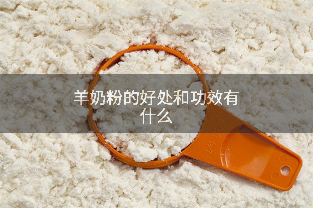 羊奶粉的好处和功效有什么