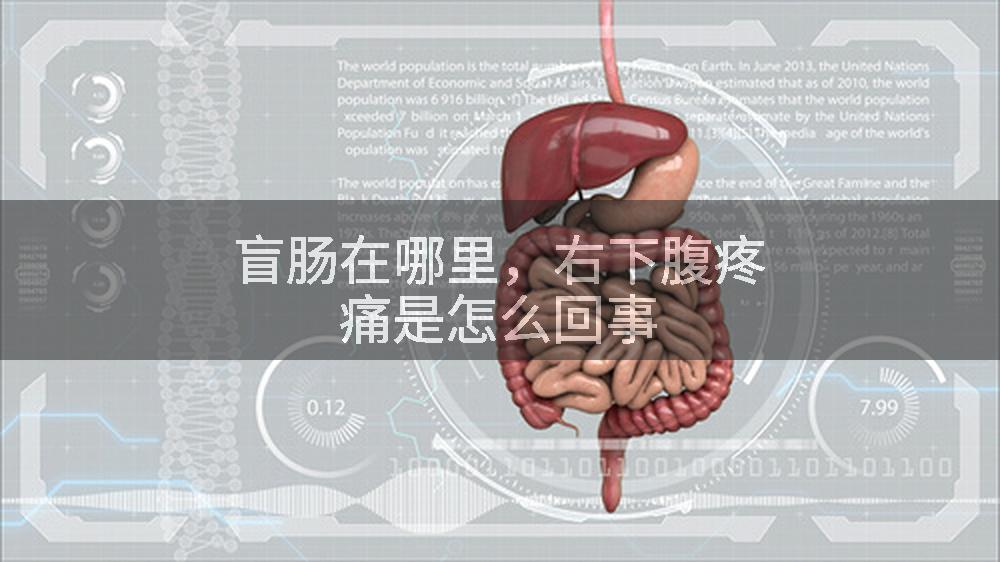 盲肠在哪里，右下腹疼痛是怎么回事