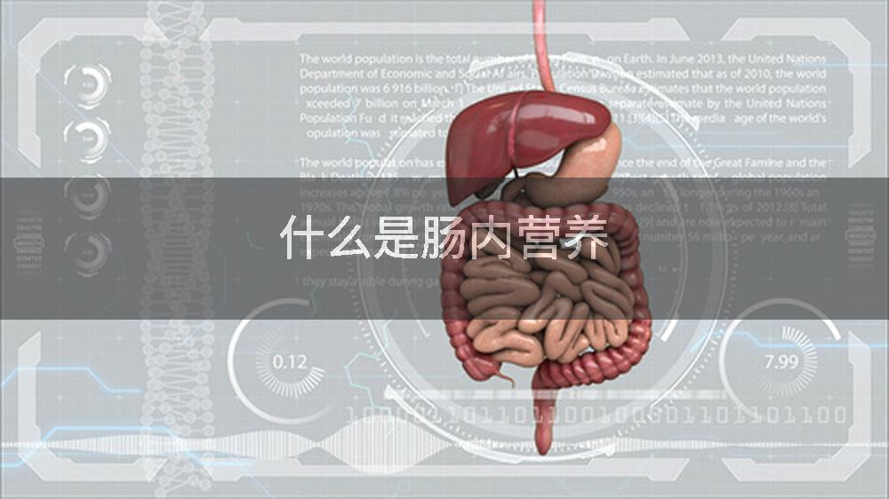 什么是肠内营养