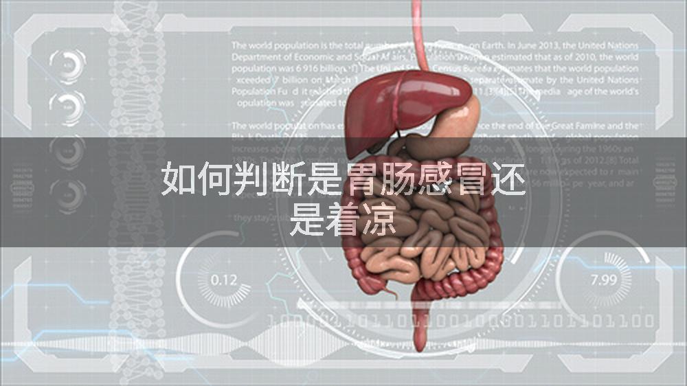 如何判断是胃肠感冒还是着凉