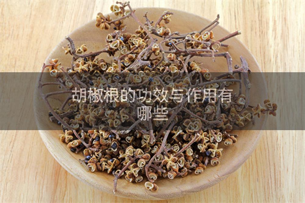 胡椒根的功效与作用有哪些