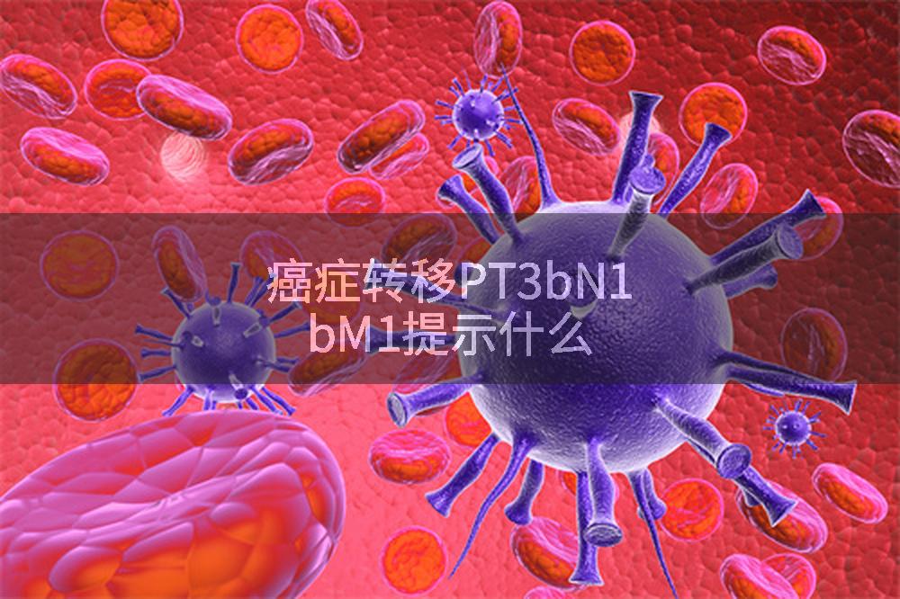 癌症转移PT3bN1bM1提示什么