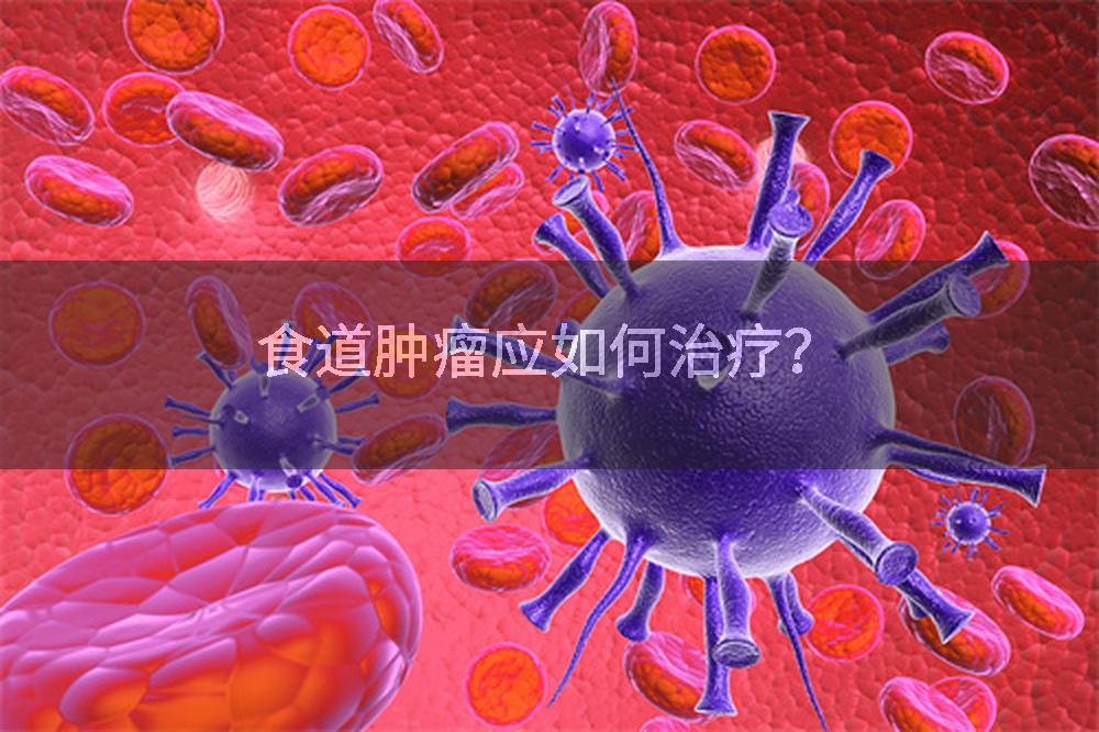 食道肿瘤应如何治疗？