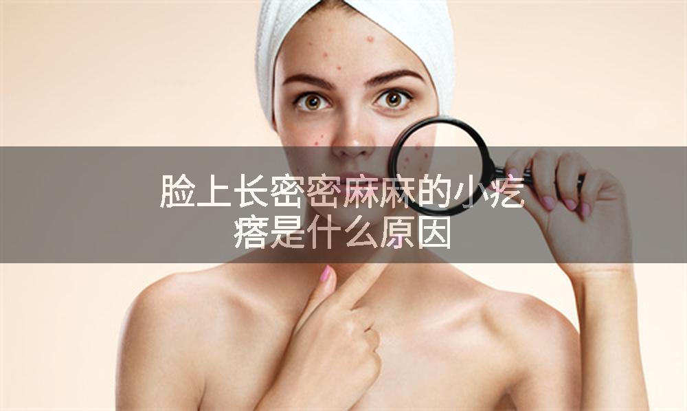 脸上长密密麻麻的小疙瘩是什么原因