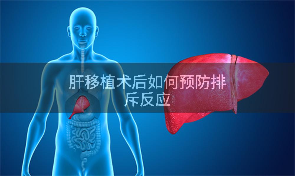 肝移植术后如何预防排斥反应