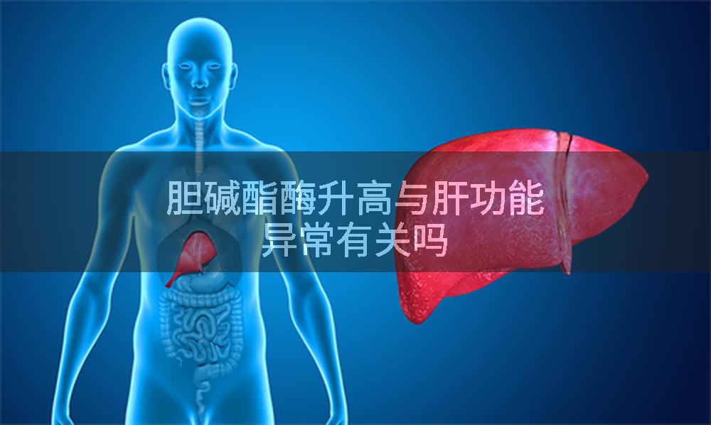胆碱酯酶升高与肝功能异常有关吗