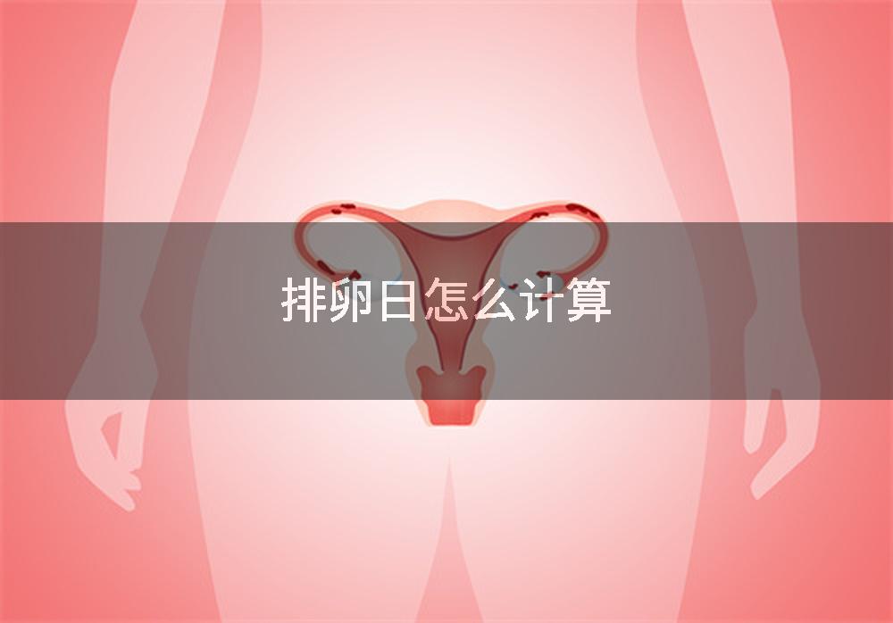 排卵日怎么计算