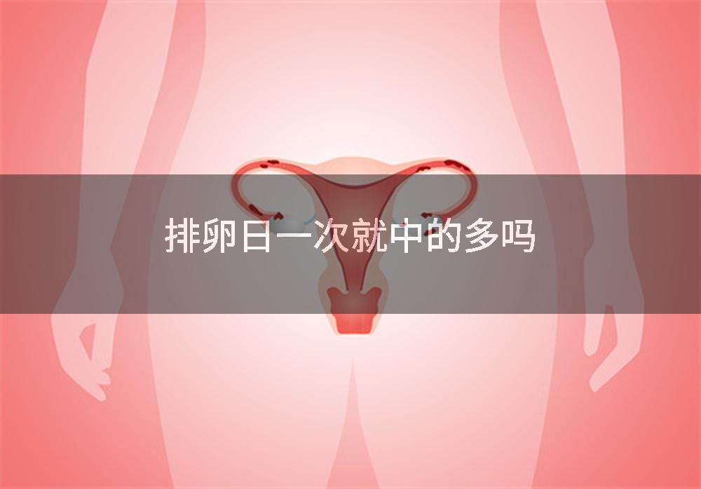 排卵日一次就中的多吗