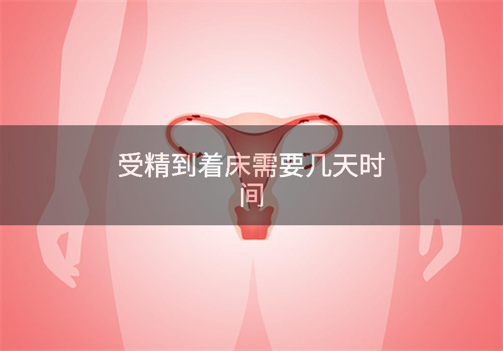 受精到着床需要几天时间