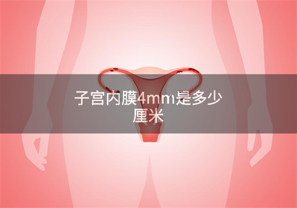子宫内膜4mm是多少厘米