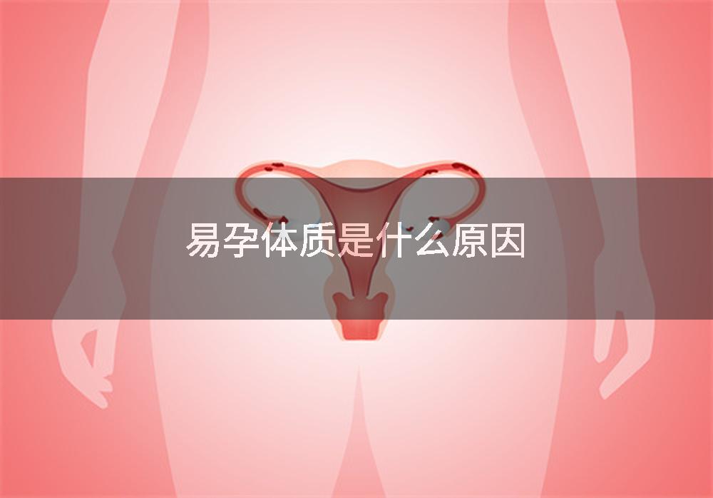 易孕体质是什么原因