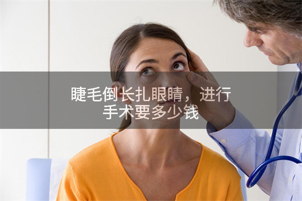 睫毛倒长扎眼睛，进行手术要多少钱