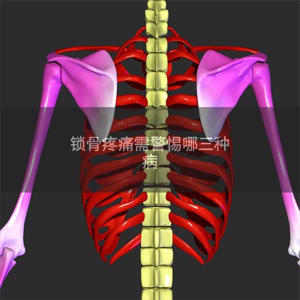 锁骨疼痛需警惕哪三种病