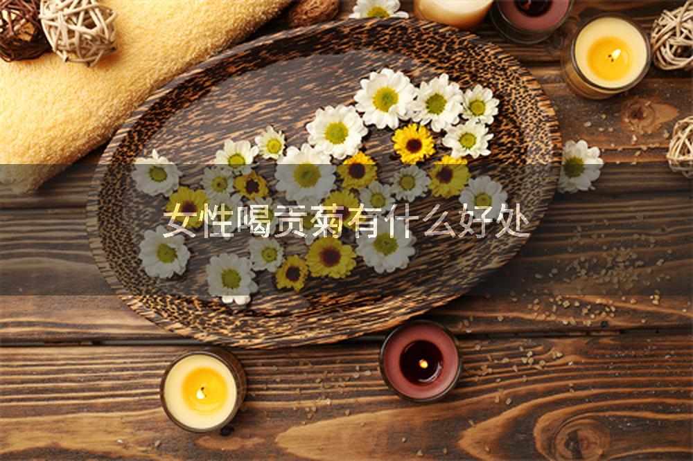 女性喝贡菊有什么好处