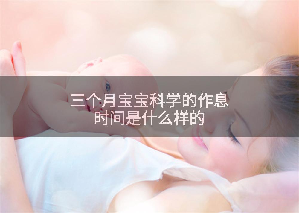 三个月宝宝科学的作息时间是什么样的
