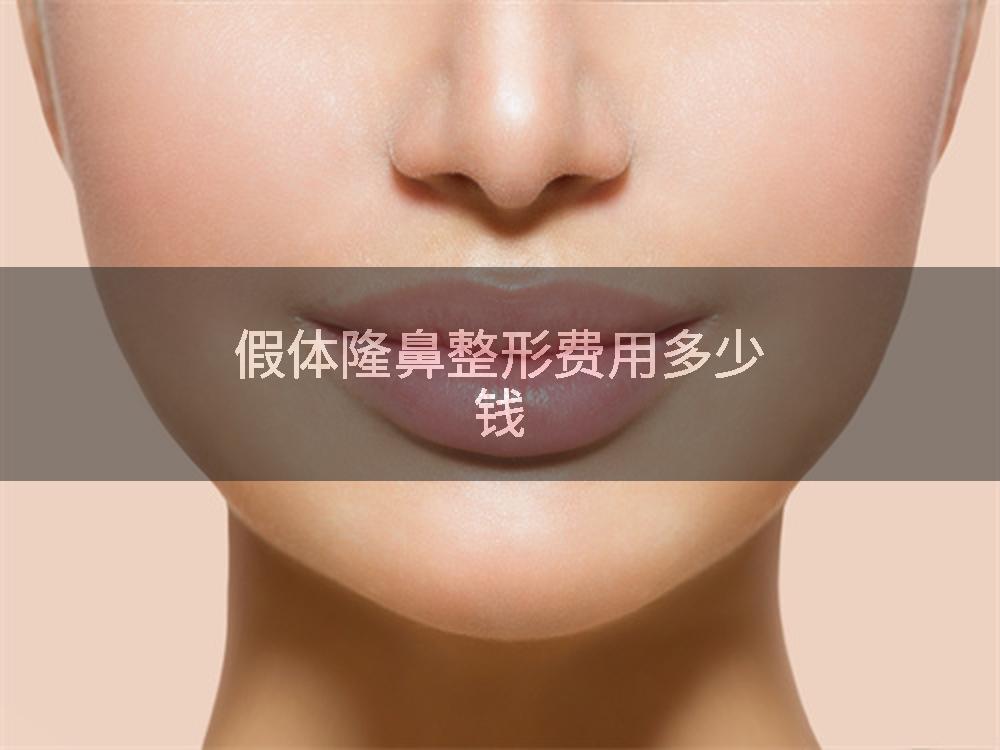 假体隆鼻整形费用多少钱