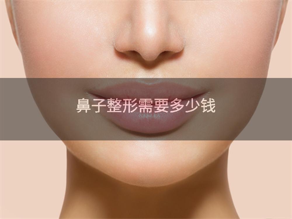 鼻子整形需要多少钱