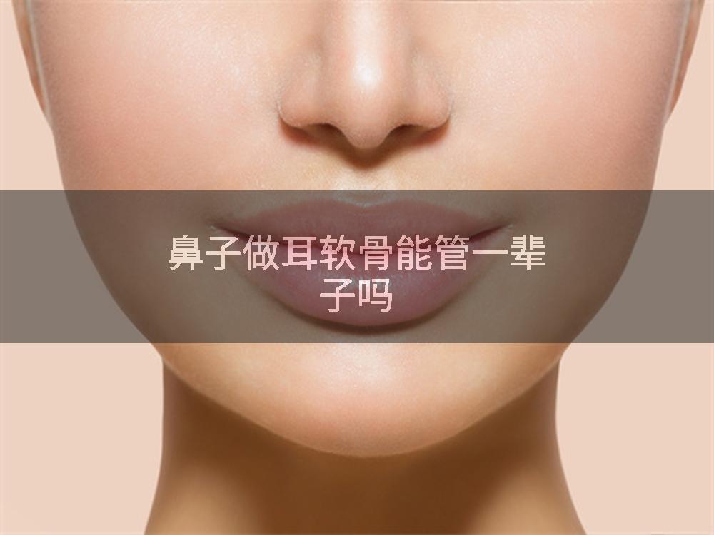 鼻子做耳软骨能管一辈子吗